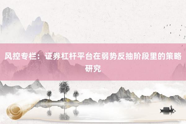 风控专栏:证券杠杆平台在弱势反抽阶段里的策略研究