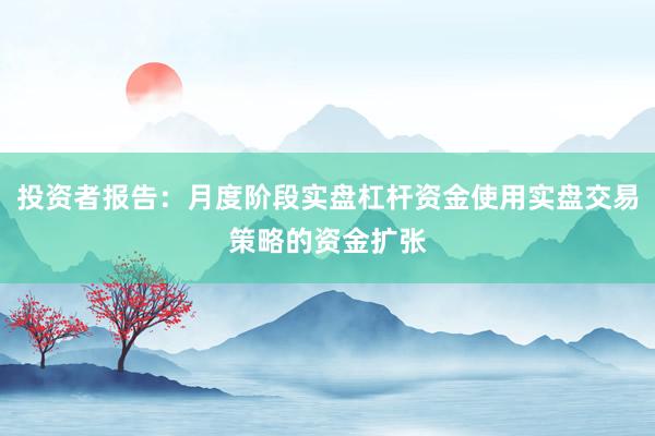 投资者报告:月度阶段实盘杠杆资金使用实盘交易策略的资金扩张