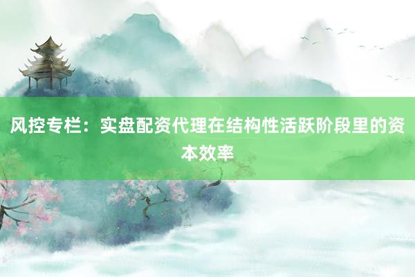 风控专栏：实盘配资代理在结构性活跃阶段里的资本效率