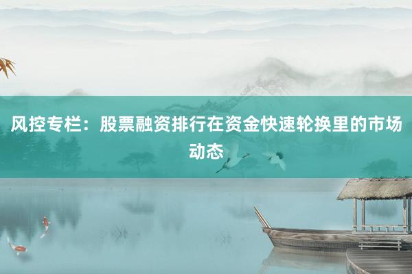 风控专栏：股票融资排行在资金快速轮换里的市场动态