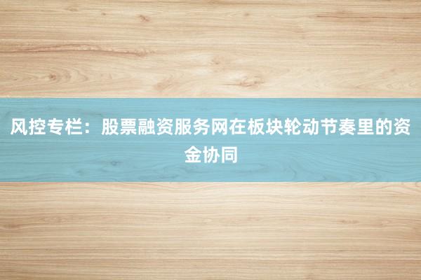 风控专栏：股票融资服务网在板块轮动节奏里的资金协同