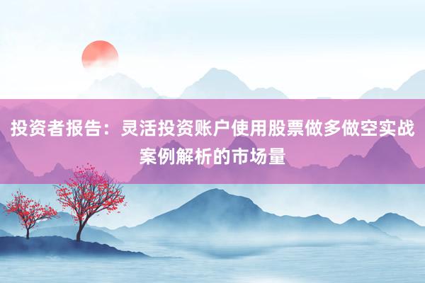 投资者报告：灵活投资账户使用股票做多做空实战案例解析的市场量