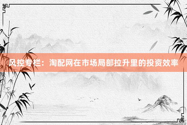 风控专栏：淘配网在市场局部拉升里的投资效率