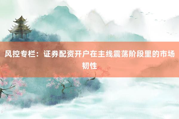 风控专栏：证券配资开户在主线震荡阶段里的市场韧性