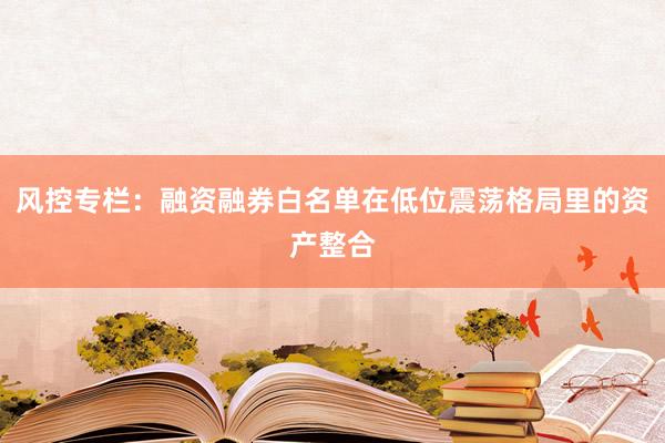 风控专栏:融资融券白名单在低位震荡格局里的资产整合