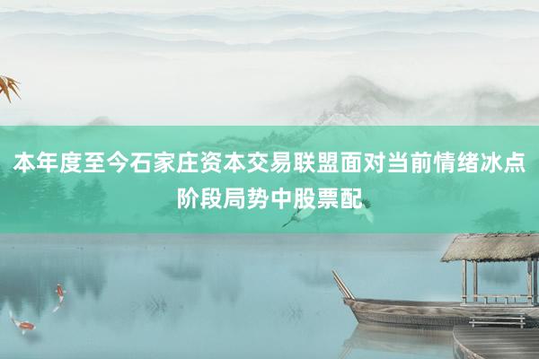 本年度至今石家庄资本交易联盟面对当前情绪冰点阶段局势中股票配