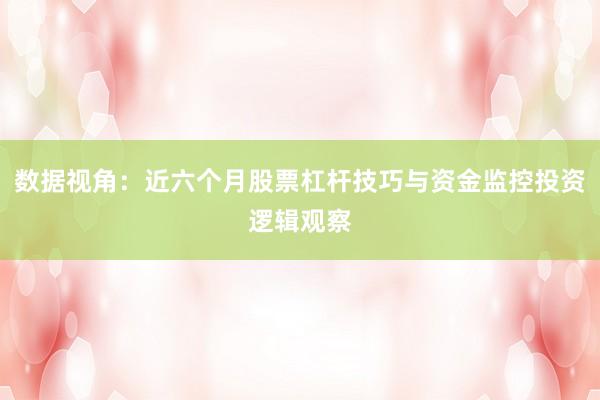 数据视角：近六个月股票杠杆技巧与资金监控投资逻辑观察