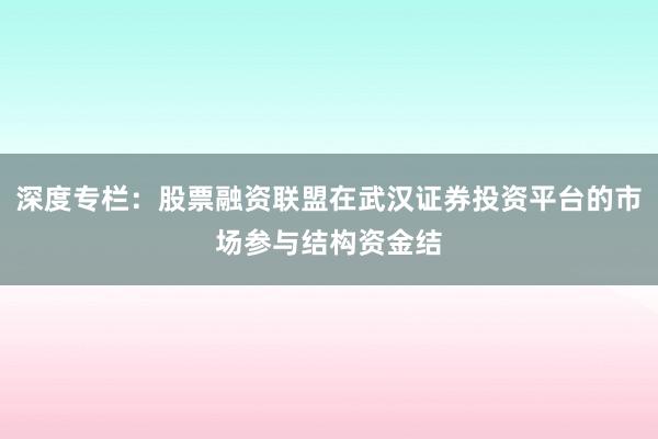 深度专栏：股票融资联盟在武汉证券投资平台的市场参与结构资金结