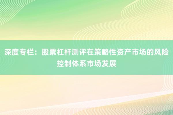 深度专栏:股票杠杆测评在策略性资产市场的风险控制体系市场发展