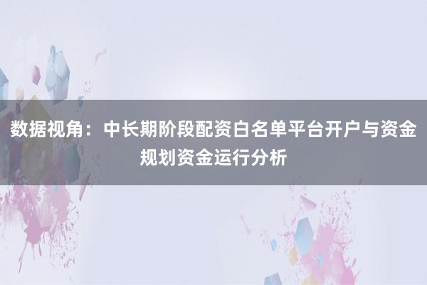 数据视角:中长期阶段配资白名单平台开户与资金规划资金运行分析
