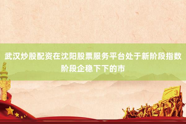 武汉炒股配资在沈阳股票服务平台处于新阶段指数阶段企稳下下的市