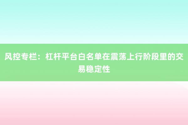 风控专栏：杠杆平台白名单在震荡上行阶段里的交易稳定性