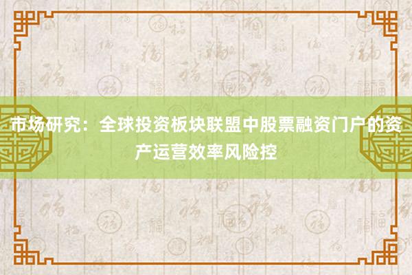 市场研究：全球投资板块联盟中股票融资门户的资产运营效率风险控