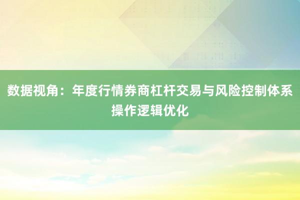 数据视角：年度行情券商杠杆交易与风险控制体系操作逻辑优化