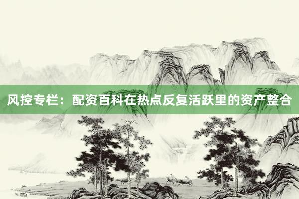 风控专栏：配资百科在热点反复活跃里的资产整合