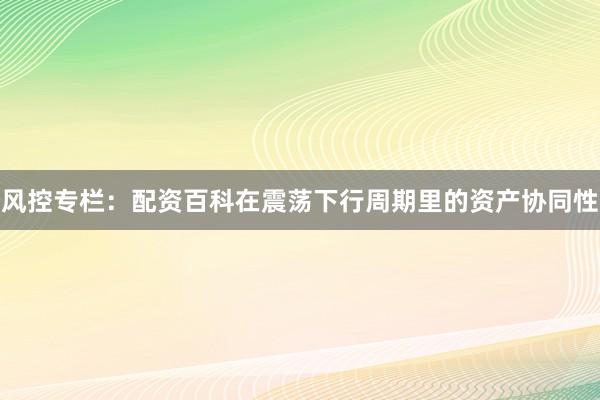 风控专栏：配资百科在震荡下行周期里的资产协同性