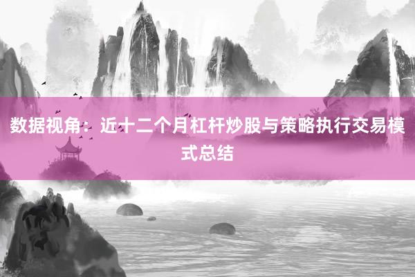 数据视角：近十二个月杠杆炒股与策略执行交易模式总结