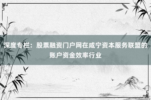 深度专栏：股票融资门户网在咸宁资本服务联盟的账户资金效率行业