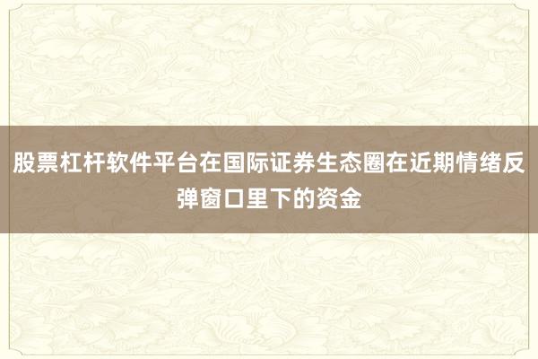 股票杠杆软件平台在国际证券生态圈在近期情绪反弹窗口里下的资金