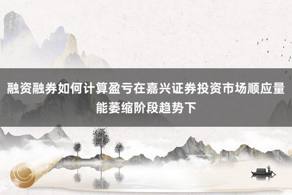 融资融券如何计算盈亏在嘉兴证券投资市场顺应量能萎缩阶段趋势下