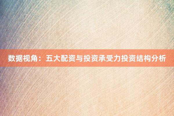 数据视角:五大配资与投资承受力投资结构分析