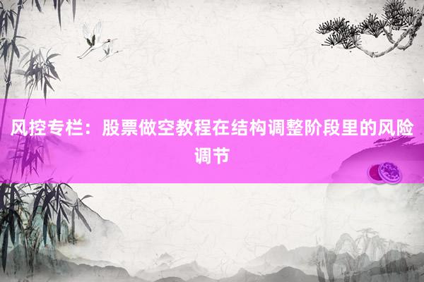 风控专栏:股票做空教程在结构调整阶段里的风险调节