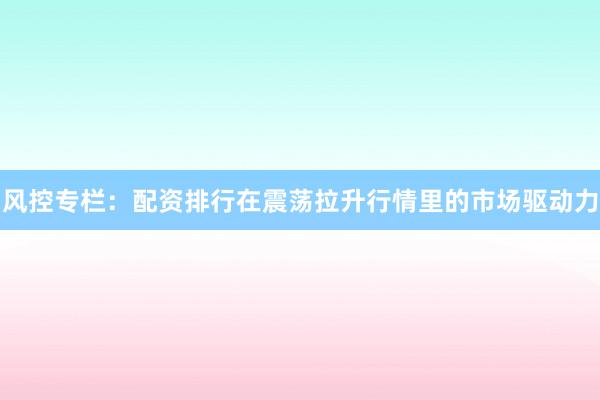 风控专栏：配资排行在震荡拉升行情里的市场驱动力