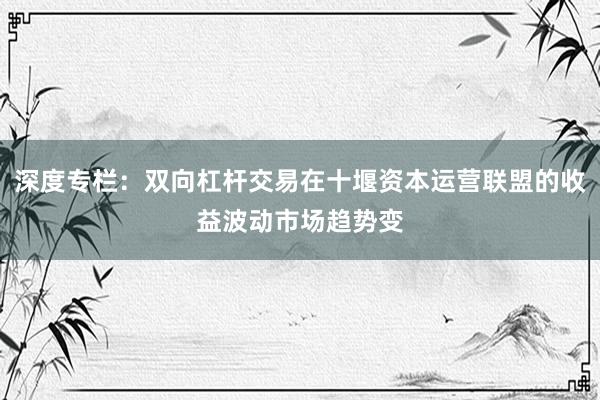 深度专栏：双向杠杆交易在十堰资本运营联盟的收益波动市场趋势变