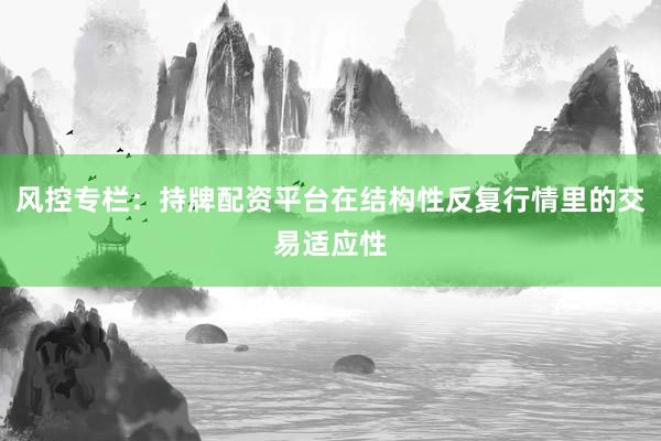风控专栏:持牌配资平台在结构性反复行情里的交易适应性