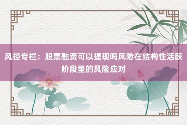 风控专栏：股票融资可以提现吗风险在结构性活跃阶段里的风险应对