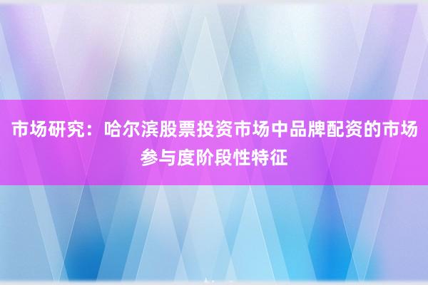 市场研究：哈尔滨股票投资市场中品牌配资的市场参与度阶段性特征