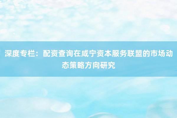 深度专栏：配资查询在咸宁资本服务联盟的市场动态策略方向研究