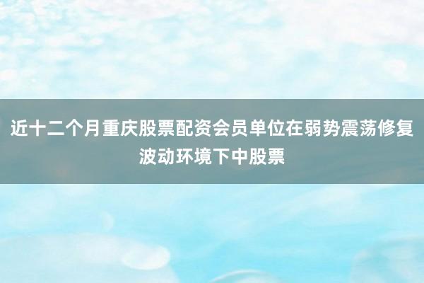 近十二个月重庆股票配资会员单位在弱势震荡修复波动环境下中股票