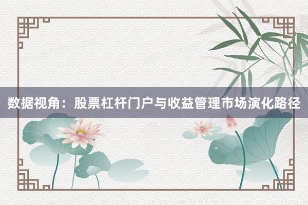 数据视角：股票杠杆门户与收益管理市场演化路径