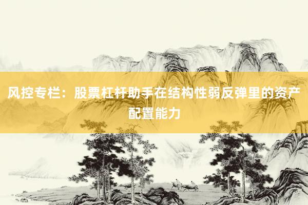 风控专栏：股票杠杆助手在结构性弱反弹里的资产配置能力