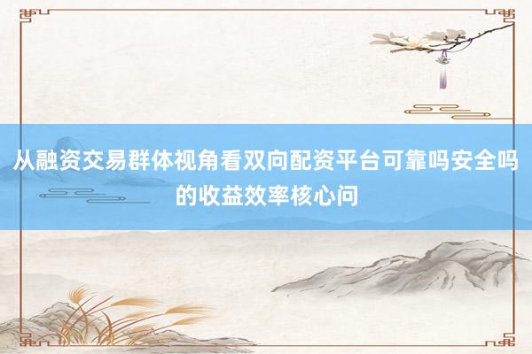 从融资交易群体视角看双向配资平台可靠吗安全吗的收益效率核心问