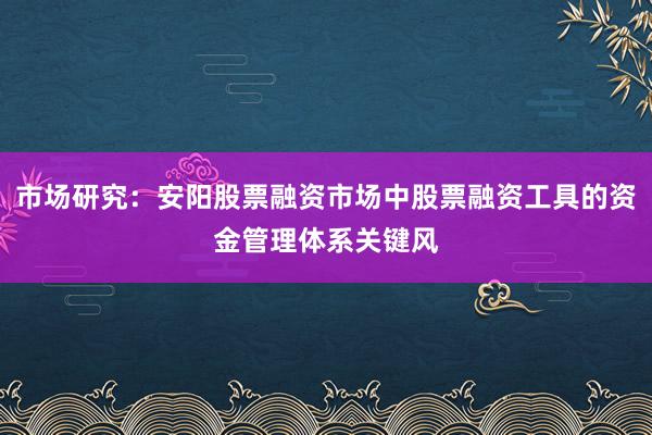 市场研究：安阳股票融资市场中股票融资工具的资金管理体系关键风