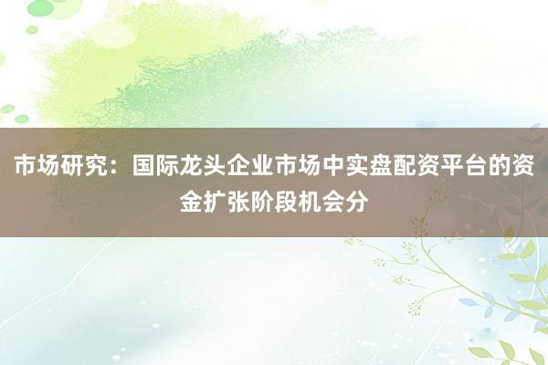 市场研究：国际龙头企业市场中实盘配资平台的资金扩张阶段机会分