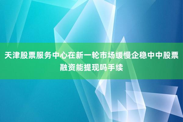 天津股票服务中心在新一轮市场缓慢企稳中中股票融资能提现吗手续