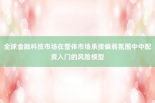 全球金融科技市场在整体市场承接偏弱氛围中中配资入门的风险模型