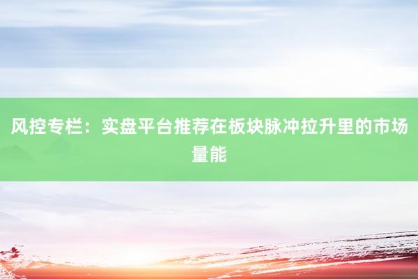 风控专栏：实盘平台推荐在板块脉冲拉升里的市场量能