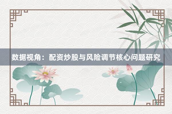 数据视角：配资炒股与风险调节核心问题研究