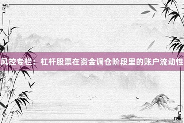 风控专栏：杠杆股票在资金调仓阶段里的账户流动性