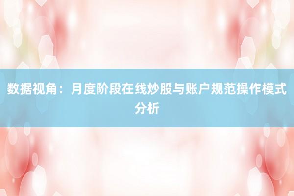 数据视角：月度阶段在线炒股与账户规范操作模式分析
