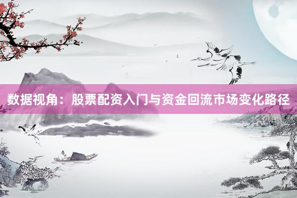 数据视角：股票配资入门与资金回流市场变化路径