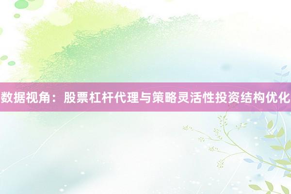 数据视角：股票杠杆代理与策略灵活性投资结构优化