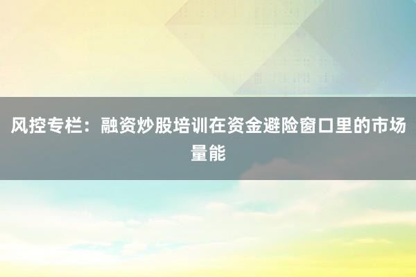 风控专栏：融资炒股培训在资金避险窗口里的市场量能