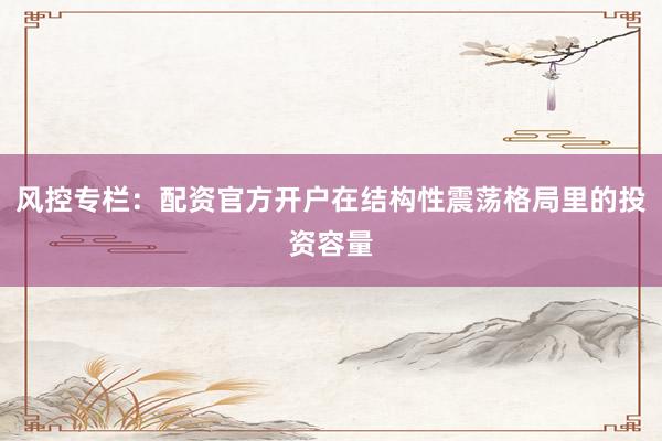 风控专栏：配资官方开户在结构性震荡格局里的投资容量