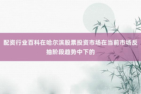 配资行业百科在哈尔滨股票投资市场在当前市场反抽阶段趋势中下的