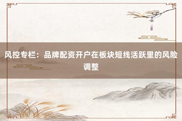 风控专栏：品牌配资开户在板块短线活跃里的风险调整